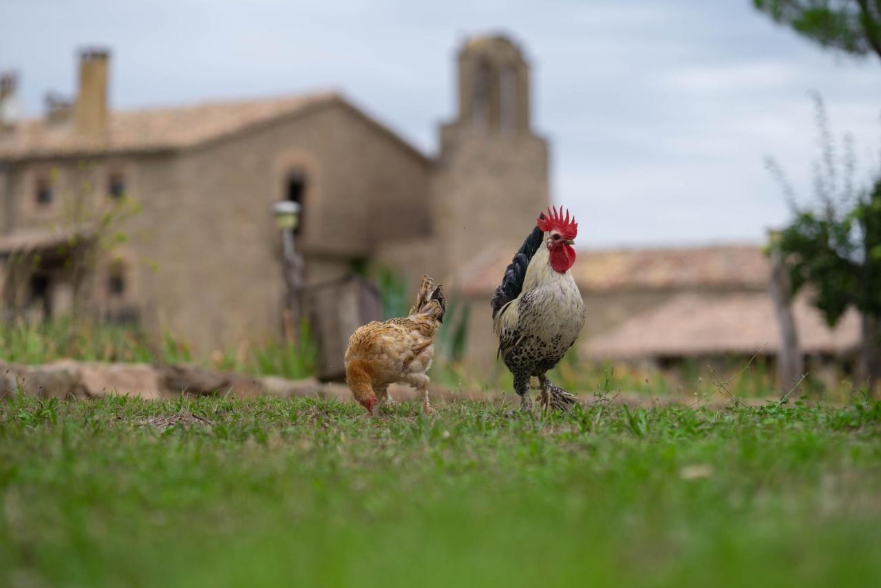 Casa Rural Sant Grau Turismo Saludable Y Responsable ソルソナ エクステリア 写真